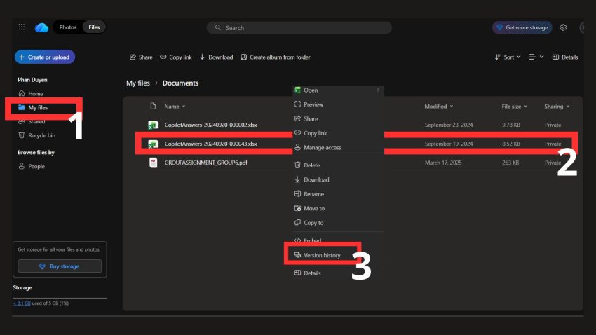 Khôi phục file từ phiên bản trước (Version History)
