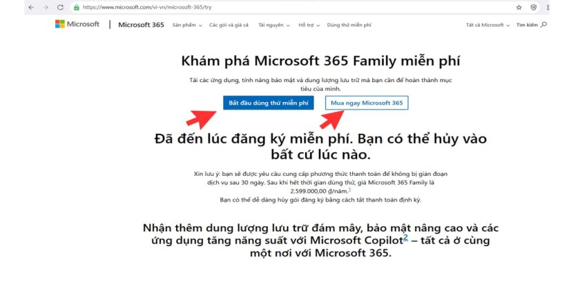 Microsoft SharePoint là gì