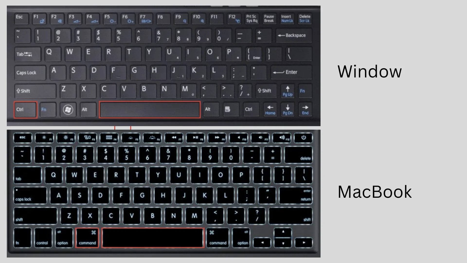 Minh họa phím tắt trên Win và Mac